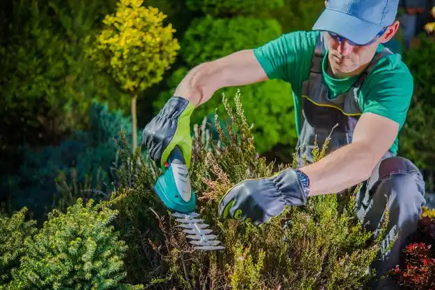 landscaping services Ocean Springs